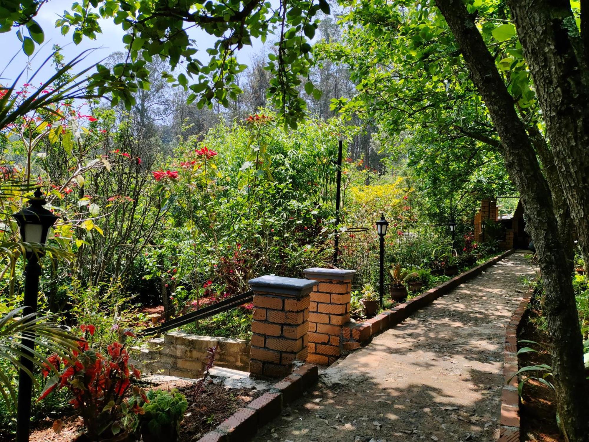 Pear Tree Entire 2Bhk Villa Kotagiri Eksteriør bilde