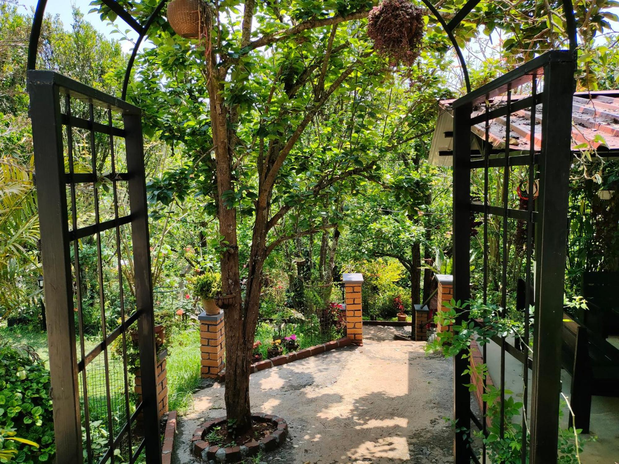 Pear Tree Entire 2Bhk Villa Kotagiri Eksteriør bilde