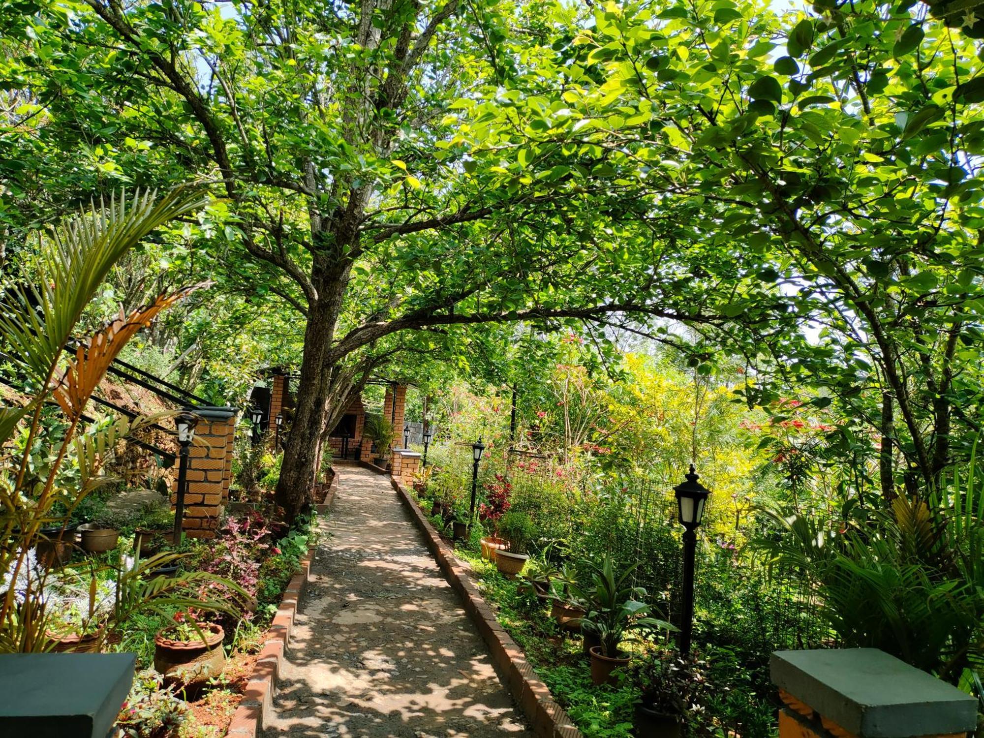 Pear Tree Entire 2Bhk Villa Kotagiri Eksteriør bilde
