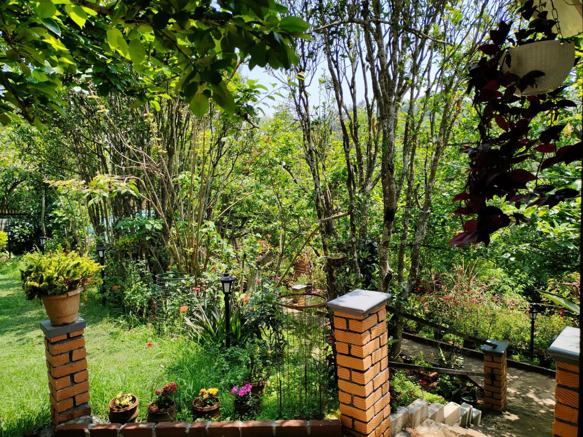 Pear Tree Entire 2Bhk Villa Kotagiri Eksteriør bilde