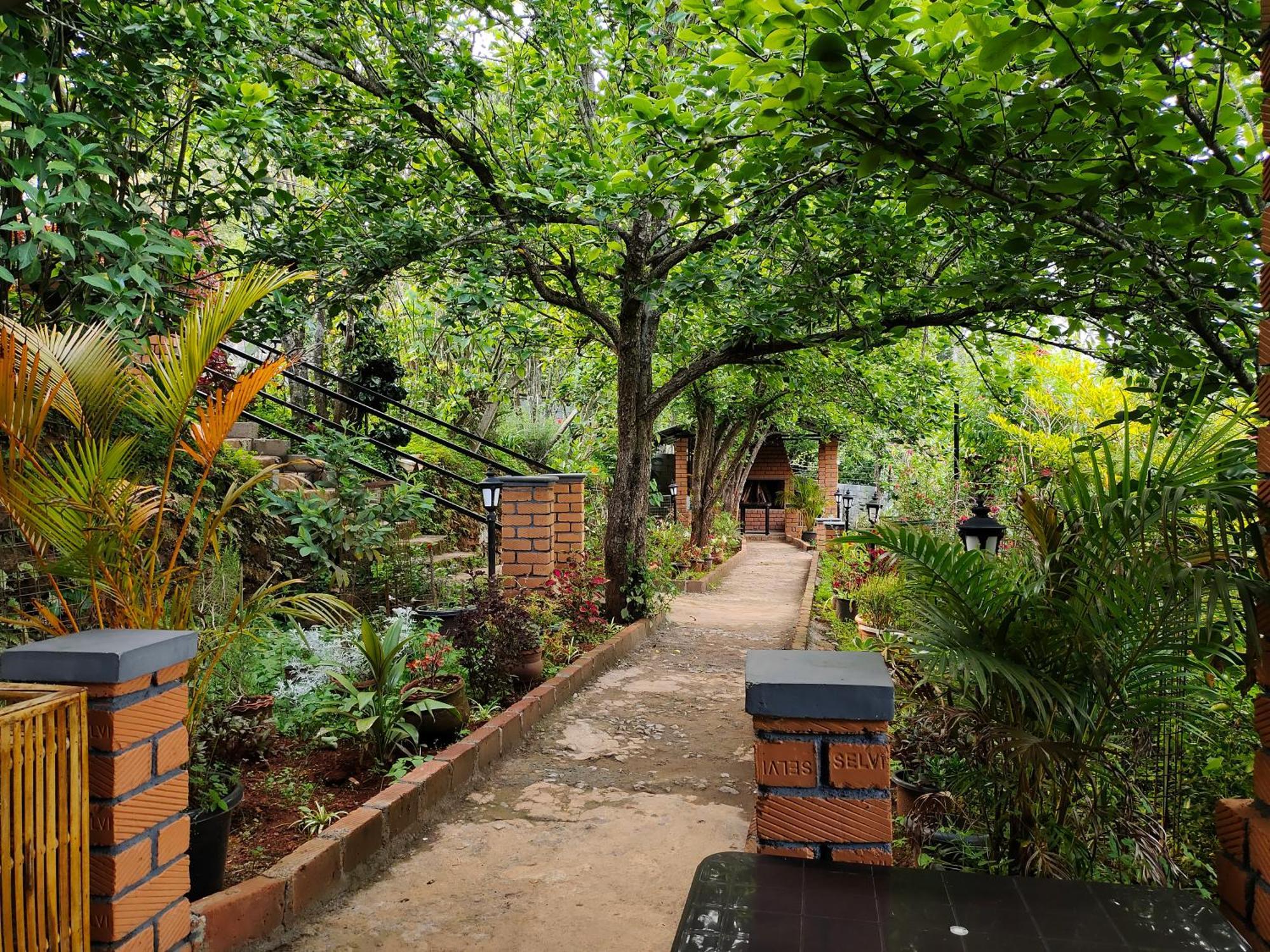 Pear Tree Entire 2Bhk Villa Kotagiri Eksteriør bilde